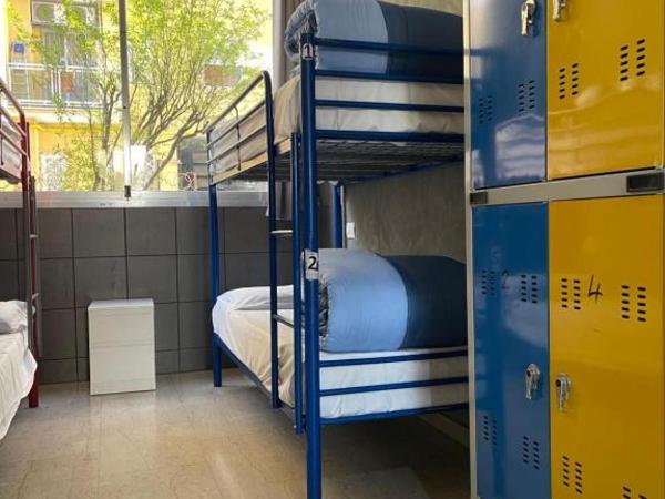 Lion Guesthouse : photo 6 de la chambre dortoir mixte