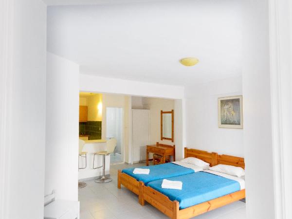 Classic Apartments : photo 1 de la chambre studio supérieur - vue sur jardin