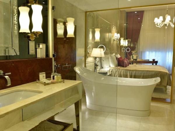 CVK Park Bosphorus Hotel Istanbul : photo 4 de la chambre chambre double ou lits jumeaux deluxe - vue sur ville 