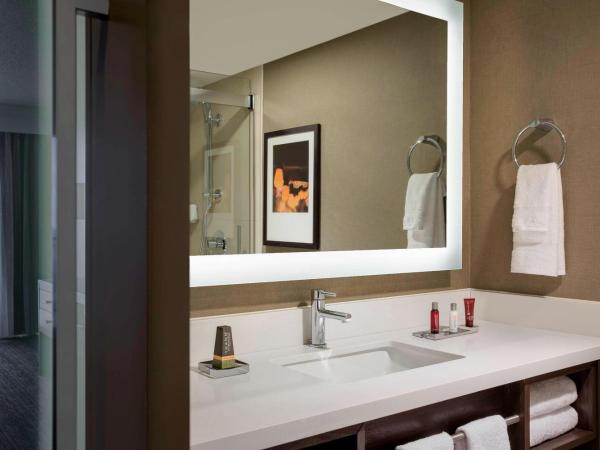 San Antonio Marriott Riverwalk : photo 3 de la chambre chambre double ou king avec vue sur l'eau