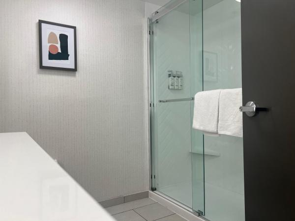 Holiday Inn Nashville Downtown - Stadium, an IHG Hotel : photo 6 de la chambre chambre standard avec 2 lits queen-size