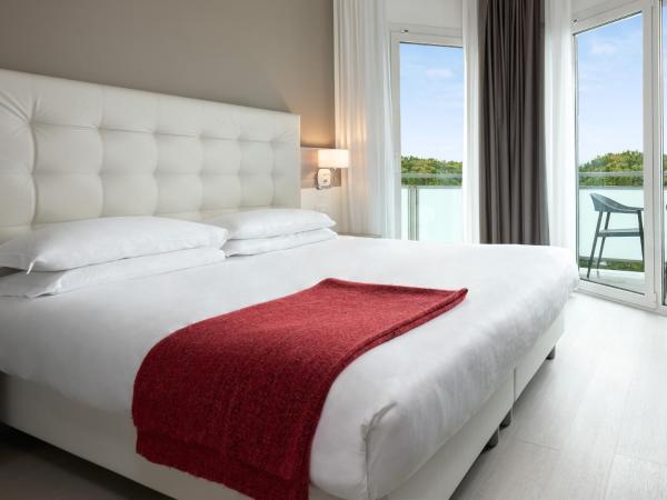 Hotel Delle Rose : photo 3 de la chambre chambre double basique