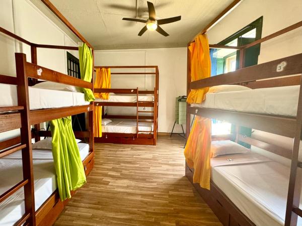 Algarve HOSTEL : photo 2 de la chambre lit superposé dans dortoir mixte