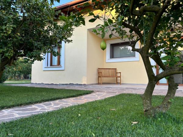 Agriturismo Il Podere Alghero : photo 9 de la chambre appartement 1 chambre avec jardin