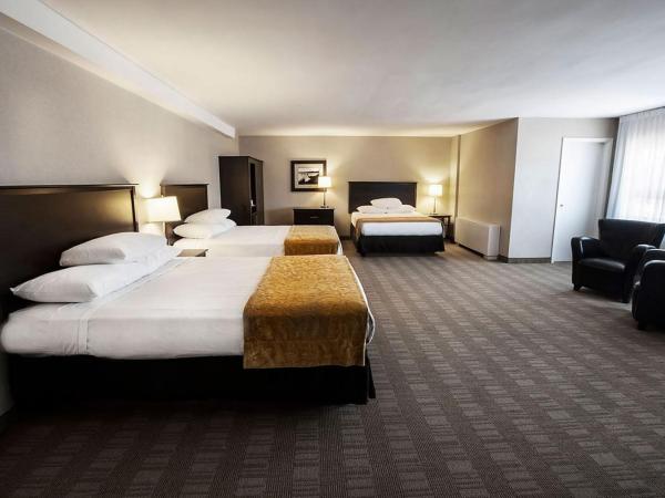 Skyline Hotel & Waterpark : photo 1 de la chambre suite familiale 3 lits queen-size - hébergement uniquement