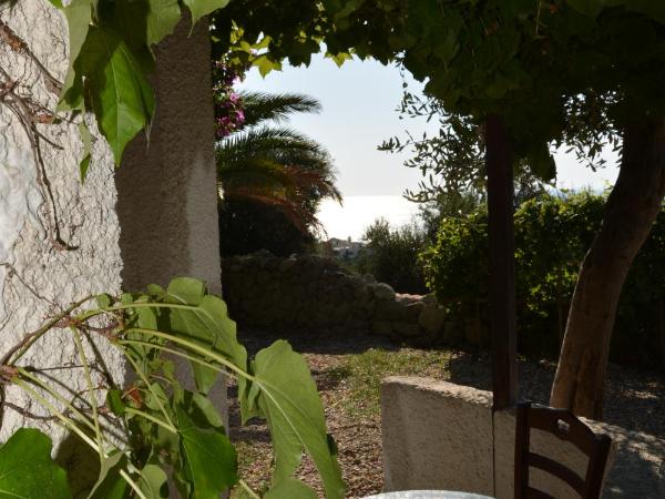 Agriturismo La Pergola : photo 4 de la chambre chambre double avec terrasse