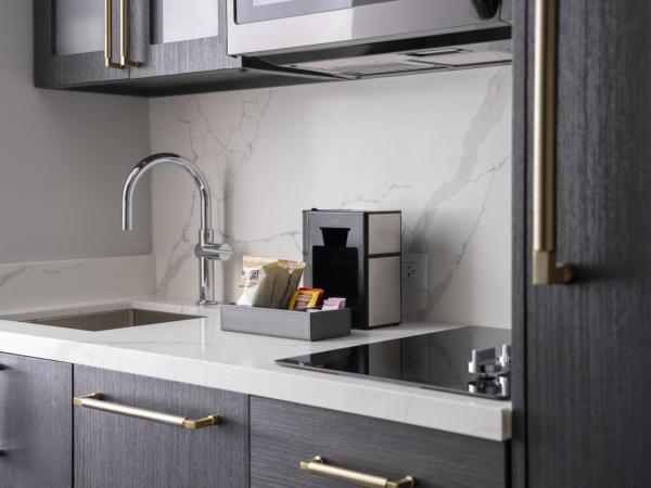 Residence Inn by Marriott Chicago Downtown Magnificent Mile : photo 7 de la chambre studio avec 2 lits queen-size