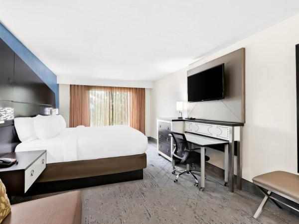 Holiday Inn Express Atlanta Galleria-Ballpark Area, an IHG Hotel : photo 1 de la chambre chambre lit king-size standard avec canapé-lit - non-fumeurs