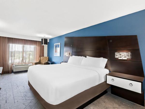 Holiday Inn Express Atlanta Galleria-Ballpark Area, an IHG Hotel : photo 1 de la chambre chambre standard