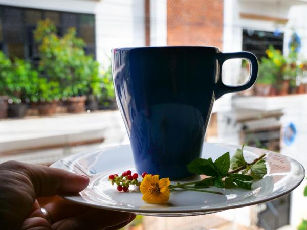 Vista Pacífico : photo 8 de la chambre appartement - vue sur mer