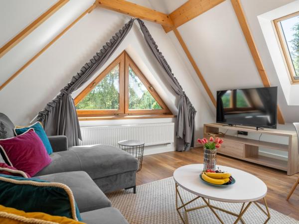 WILLA JAROSTA & SPA- free parking : photo 1 de la chambre appartement deluxe