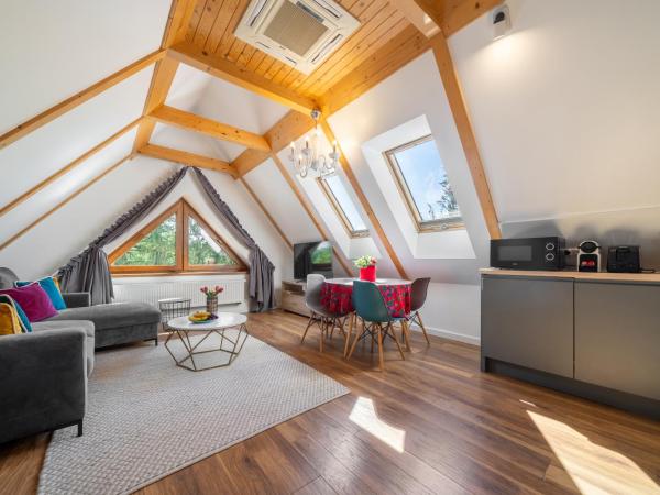 WILLA JAROSTA & SPA- free parking : photo 9 de la chambre appartement deluxe