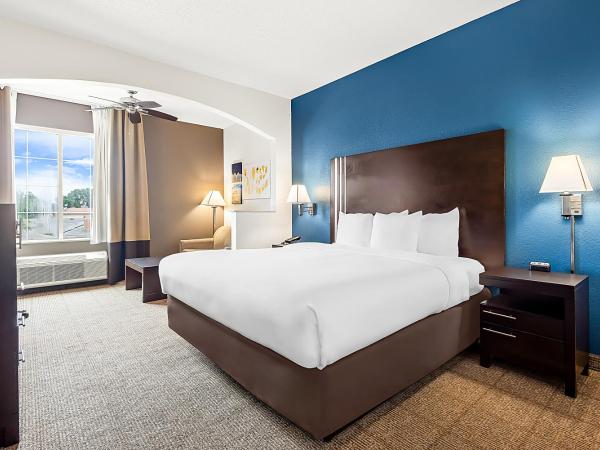 Comfort Suites New Orleans East : photo 1 de la chambre suite avec lit king-size pour personnes à mobilité réduite - non-fumeurs