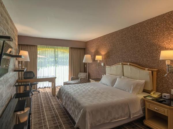 Holiday Inn Queretaro Centro Historico, an IHG Hotel : photo 2 de la chambre hébergement lit king-size standard