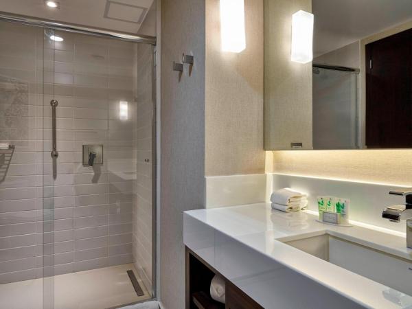 Residence Inn by Marriott Rio de Janeiro Barra da Tijuca : photo 7 de la chambre studio lit king-size