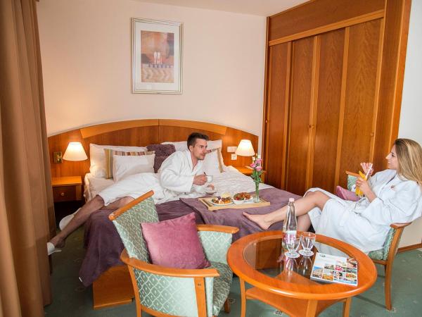 Palace Hotel Hévíz : photo 9 de la chambre chambre double