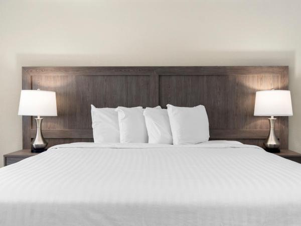 Serene Vegas Boutique Hotel Las Vegas : photo 3 de la chambre chambre lit king-size rk