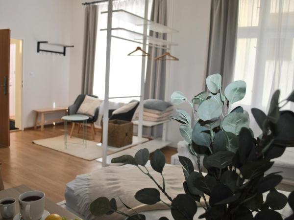 7 NIGHTS Apartments Dominikánské n. : photo 5 de la chambre appartement premium 1 chambre 