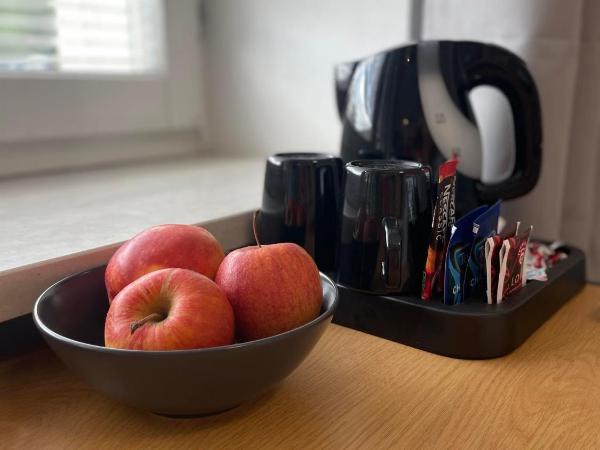 Terminal Family Airport : photo 9 de la chambre chambre familiale avec salle de bains commune