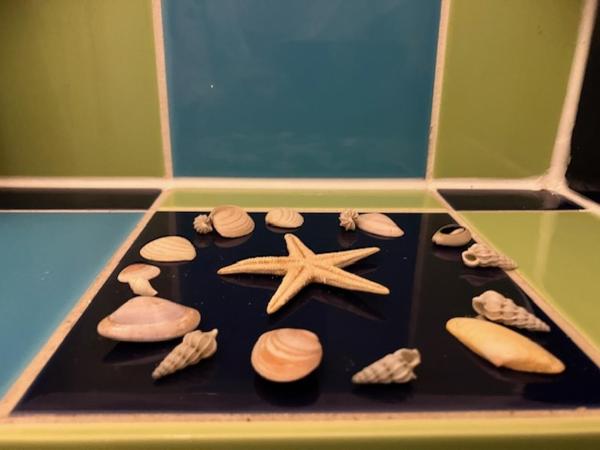 Bohemian loft : photo 7 de la chambre appartement