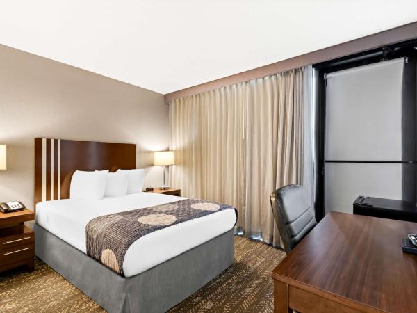 Best Western Yacht Harbor Hotel : photo 3 de la chambre chambre double avec baignoire accessible aux personnes à mobilité réduite