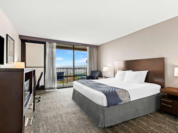 Best Western Yacht Harbor Hotel : photo 1 de la chambre chambre lit king-size avec douche accessible en fauteuil roulant - adaptée aux personnes à mobilité réduite