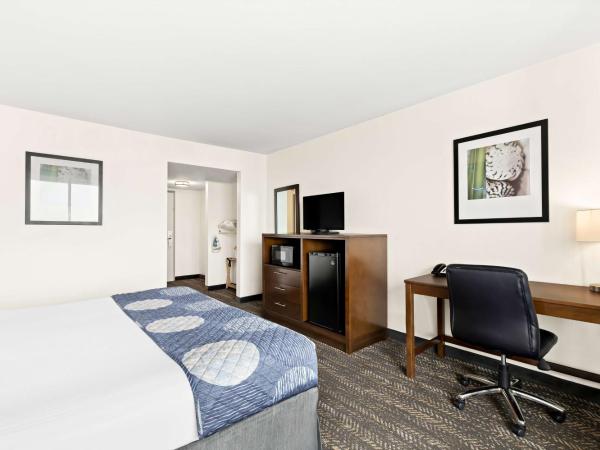 Best Western Yacht Harbor Hotel : photo 3 de la chambre chambre lit king-size avec douche accessible en fauteuil roulant - adaptée aux personnes à mobilité réduite