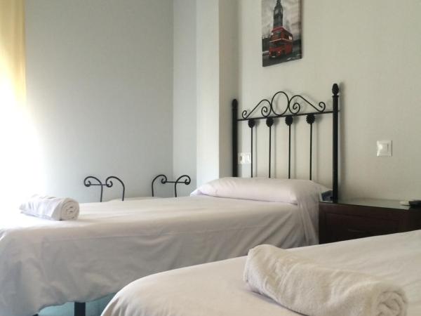 Hostal Acemar : photo 3 de la chambre chambre lits jumeaux standard
