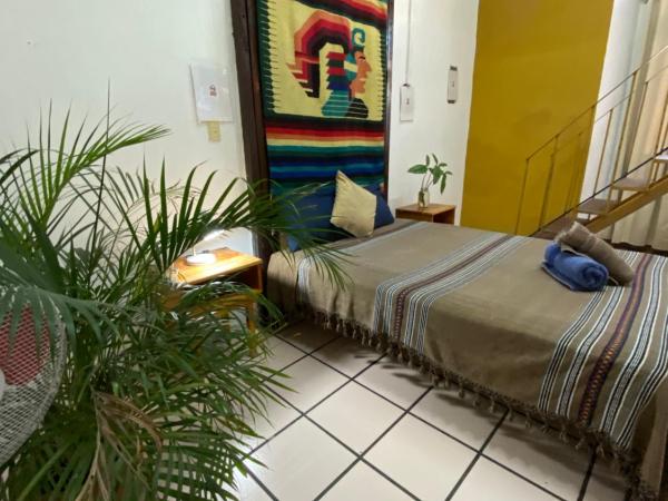 Hostal Luz de Luna Nuyoo : photo 1 de la chambre studio avec mezzanine