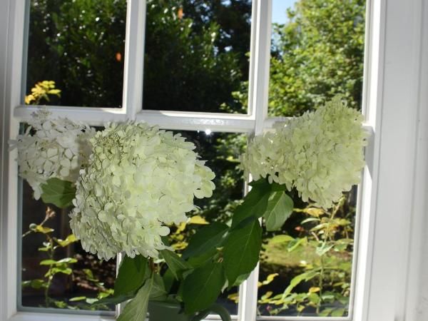 Hof Reinecke : photo 6 de la chambre chambre simple avec salle de bains privative