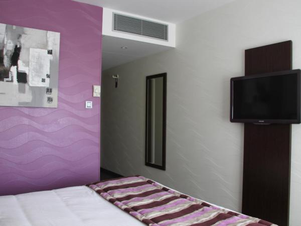 Brit Hotel Belfort Centre-Le Boreal : photo 2 de la chambre chambre double standard