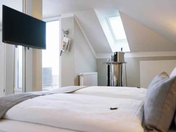 Villahotel Rheinblick : photo 3 de la chambre suite junior
