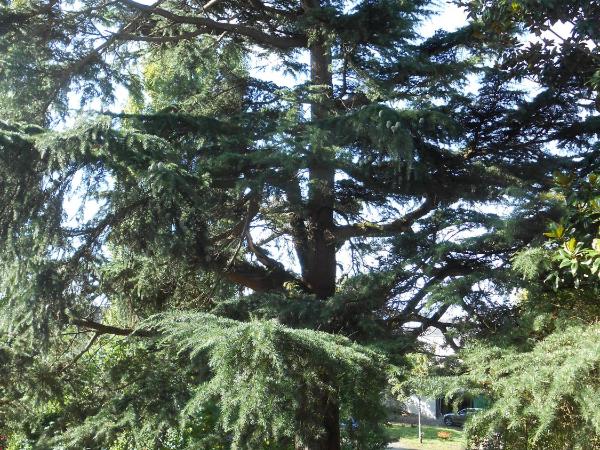 Clos du Bois Brard B&B : photo 7 de la chambre chambre double - vue sur piscine