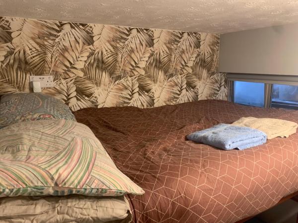 wake up with 2 cats on your face : photo 8 de la chambre chambre double avec lit d'appoint