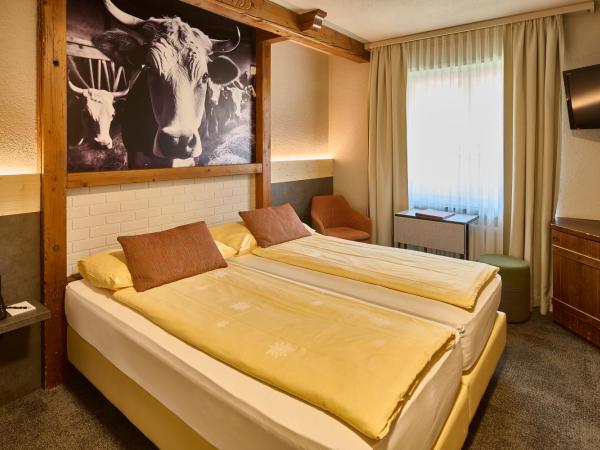 Hotel Central Wolter - Grindelwald : photo 4 de la chambre chambre double standard