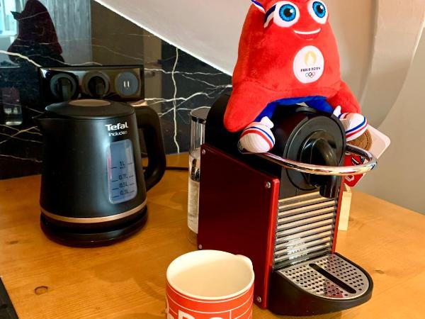 Trocadero & Eiffel Tower : photo 2 de la chambre appartement supérieur - vue sur ville