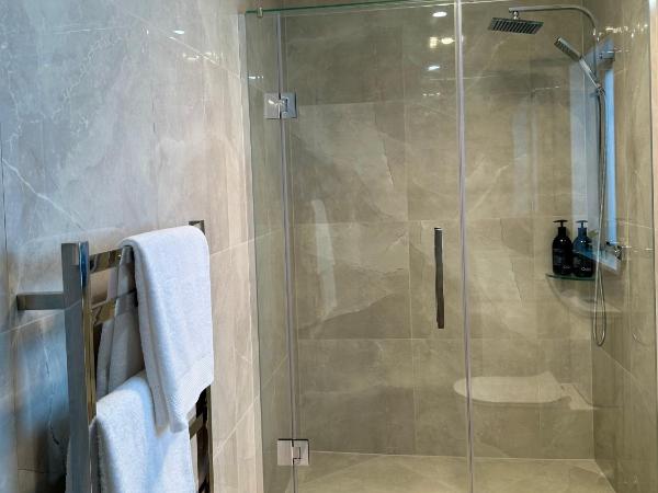 Accommodation in Auckland - Ormiston, Manukau, Flat Bush : photo 6 de la chambre chambre double avec salle de bains privative