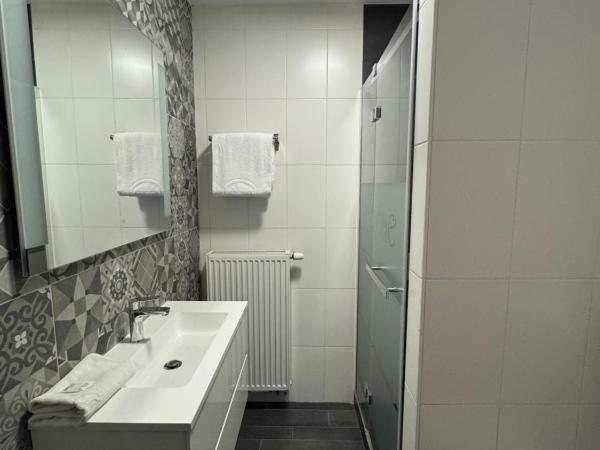 Hôtel Verone - Liège Centre : photo 7 de la chambre chambre double avec sauna