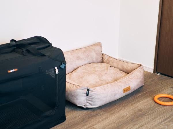 B/C APARTMENT 浅草花園通 レンタカー付ホテル : photo 10 de la chambre comfort pet apartment - pet friendly (rental car included)