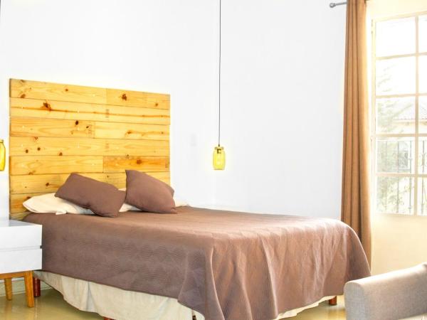 Condesa Haus Rentals : photo 6 de la chambre studio avec balcon