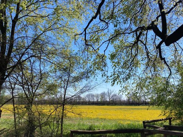 Casa Buri : photo 3 de la chambre chambre simple - vue sur parc