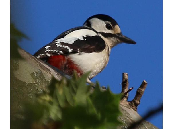 Casa Buri : photo 4 de la chambre chambre simple - vue sur parc