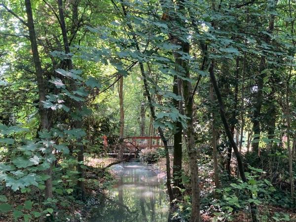 Casa Buri : photo 5 de la chambre chambre simple - vue sur parc