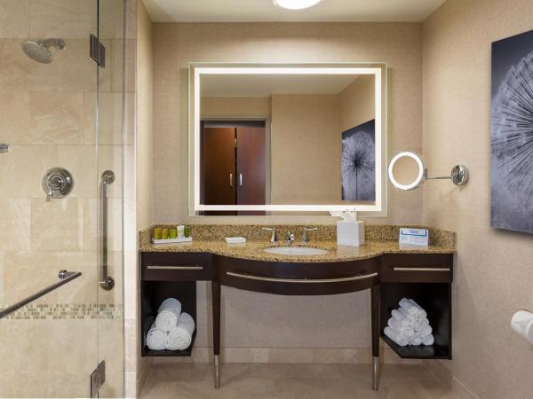 Hilton Americas - Houston : photo 1 de la chambre chambre lit king-size