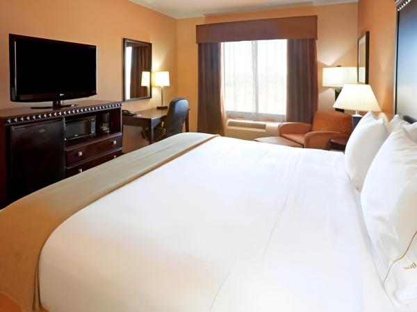 Comfort Inn & Suites Dallas Medical-Market Center : photo 3 de la chambre chambre lit king-size standard - non-fumeurs