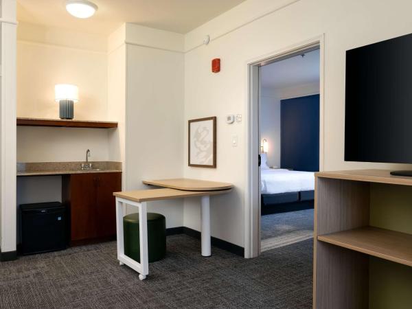 Spark by Hilton Savannah Airport : photo 2 de la chambre suite 1 chambre lit king-size