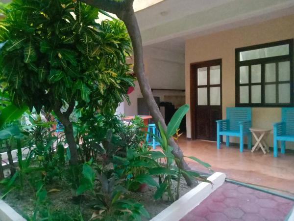 Hotel Papaya Surf : photo 6 de la chambre bungalow deluxe - vue sur jardin