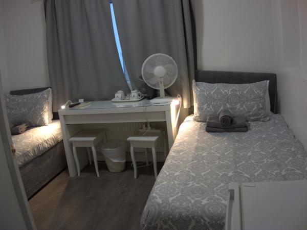 Abbey Point Hotel : photo 5 de la chambre hébergement lits jumeaux micro