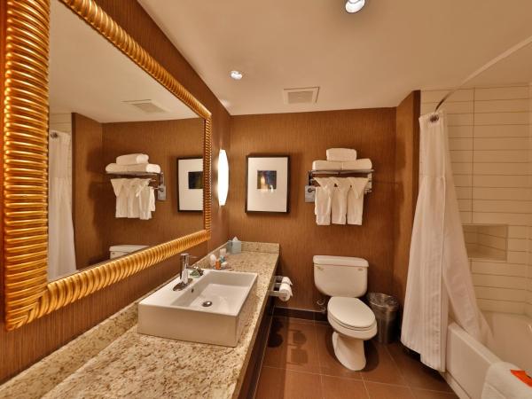 Edmonton Hotel & Convention Center Edmonton : photo 1 de la chambre chambre lit king-size premium - bar avec evier