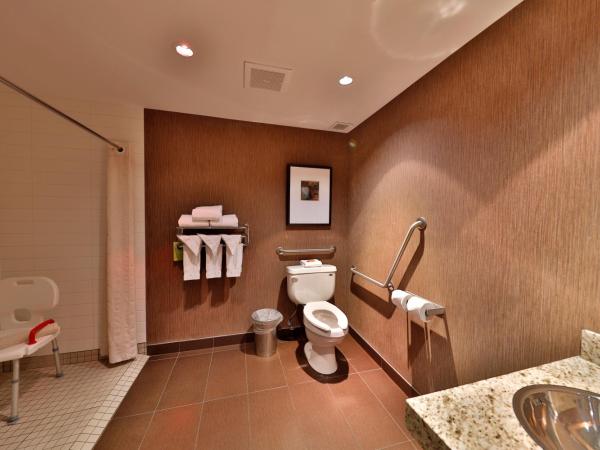 Edmonton Hotel & Convention Center Edmonton : photo 1 de la chambre chambre lit king-size avec douche accessible en fauteuil roulant - adaptée aux personnes à mobilité réduite